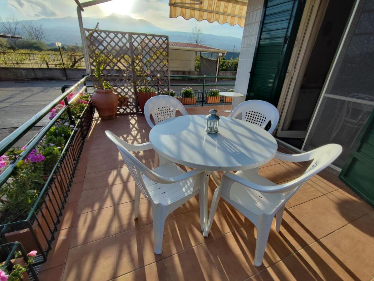 דירות מסקלי Sea Garden, Fronte Mare Con Piscina מראה חיצוני תמונה