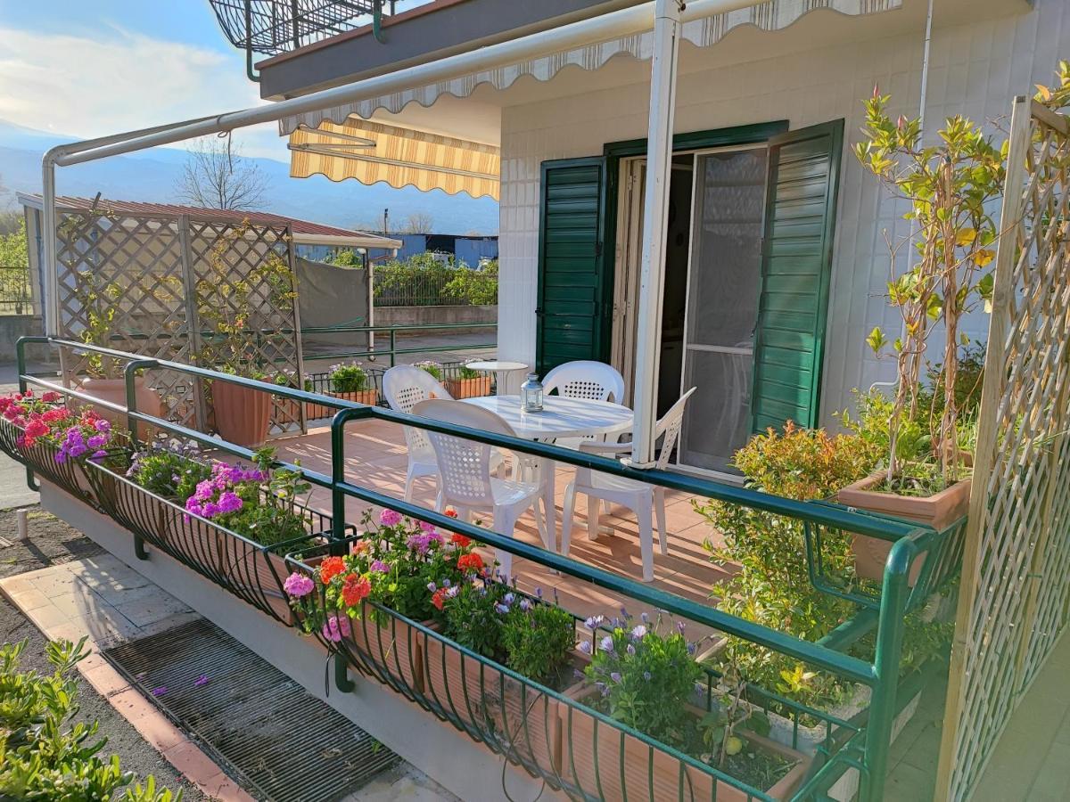 דירות מסקלי Sea Garden, Fronte Mare Con Piscina מראה חיצוני תמונה