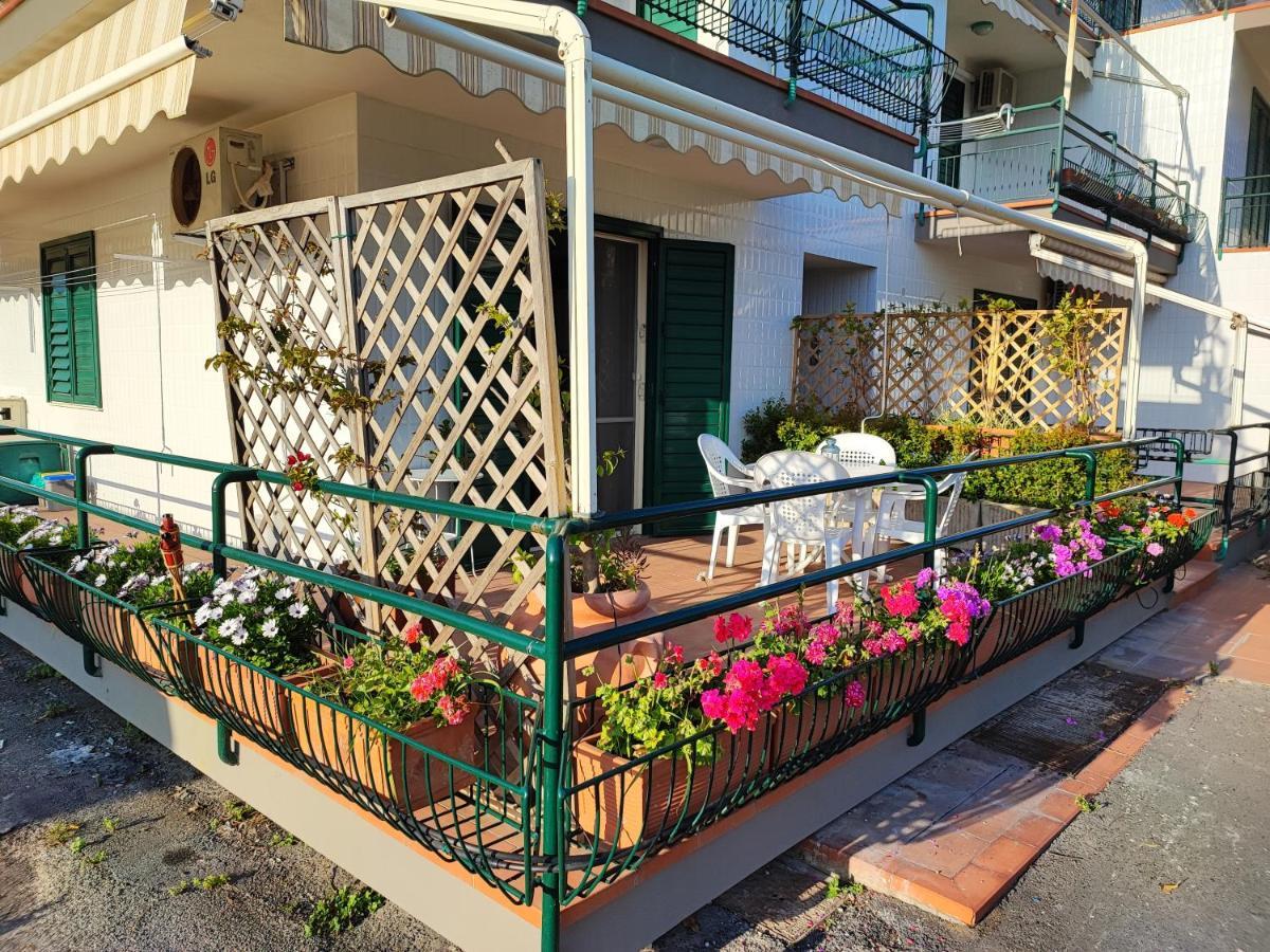 דירות מסקלי Sea Garden, Fronte Mare Con Piscina מראה חיצוני תמונה