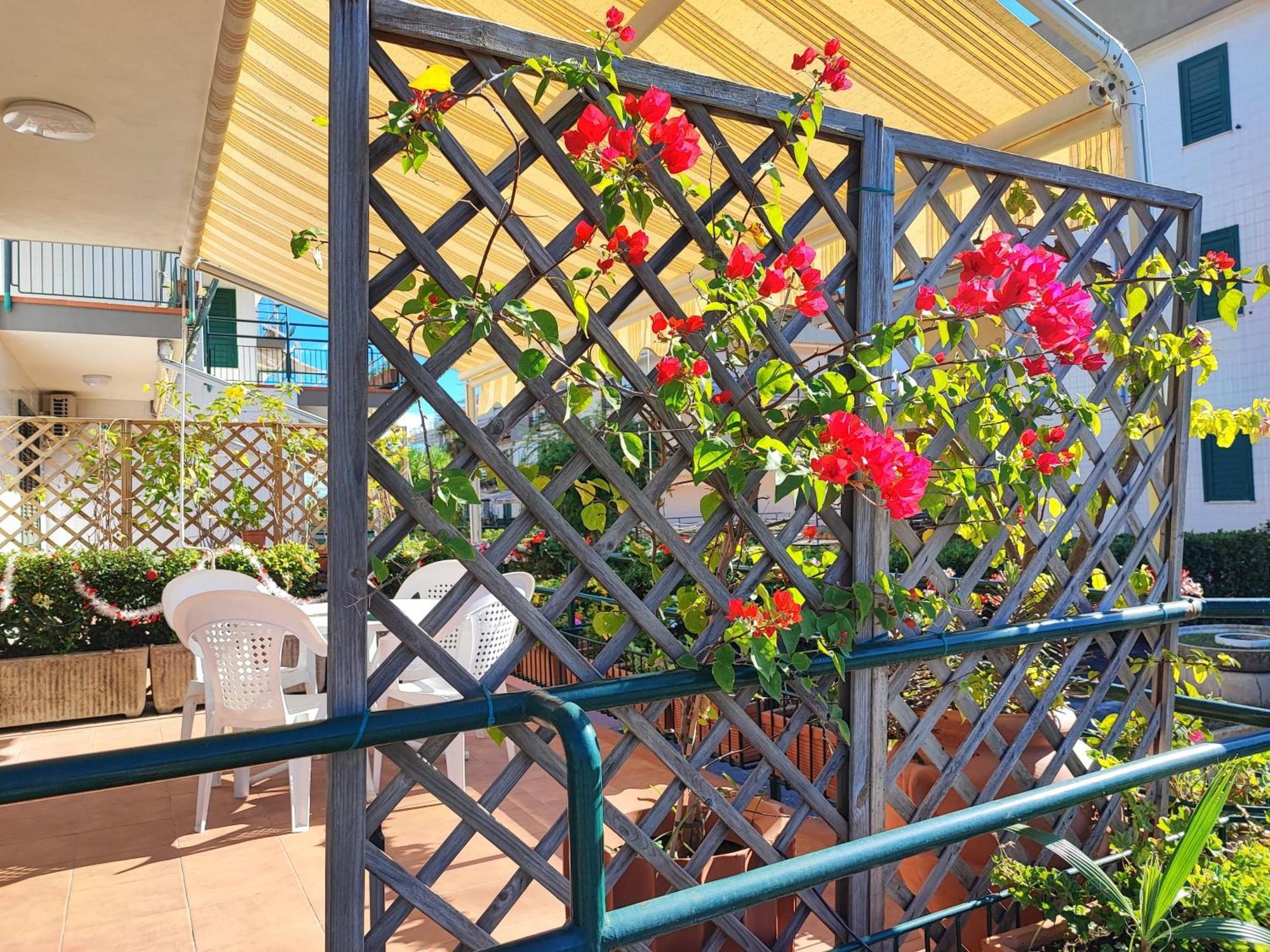 דירות מסקלי Sea Garden, Fronte Mare Con Piscina מראה חיצוני תמונה