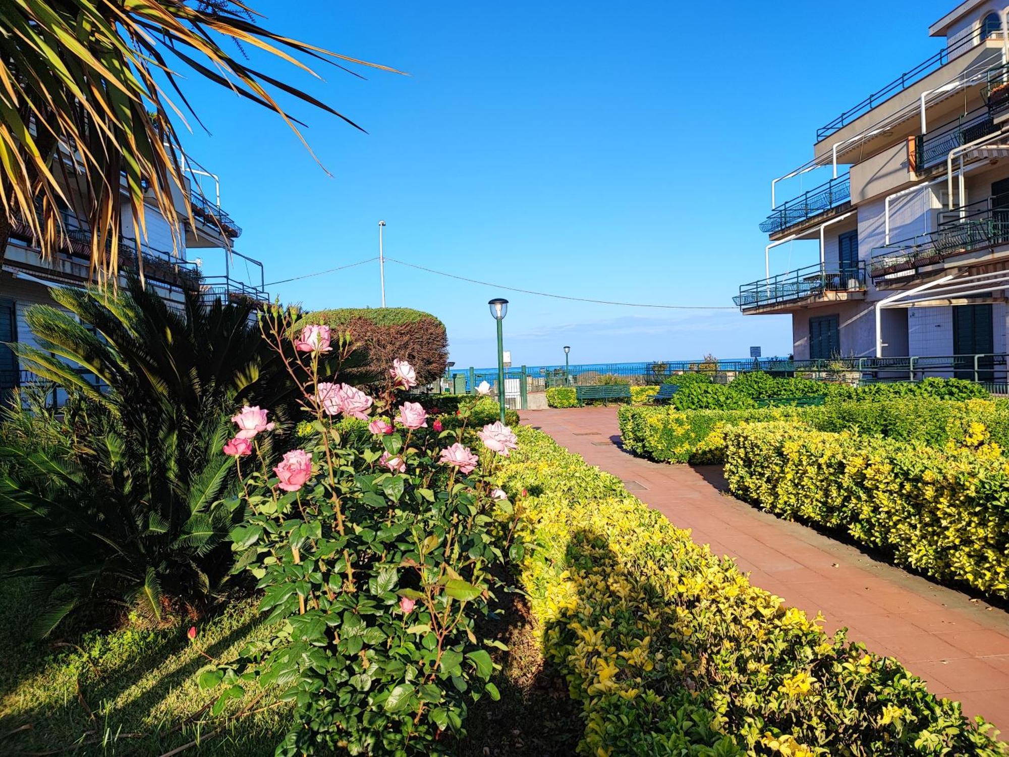 דירות מסקלי Sea Garden, Fronte Mare Con Piscina מראה חיצוני תמונה